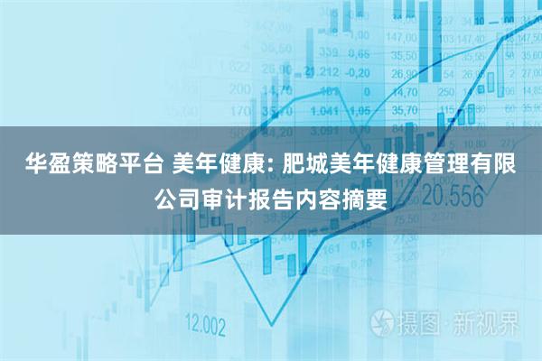 华盈策略平台 美年健康: 肥城美年健康管理有限公司审计报告内容摘要