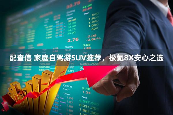 配查信 家庭自驾游SUV推荐，极氪8X安心之选